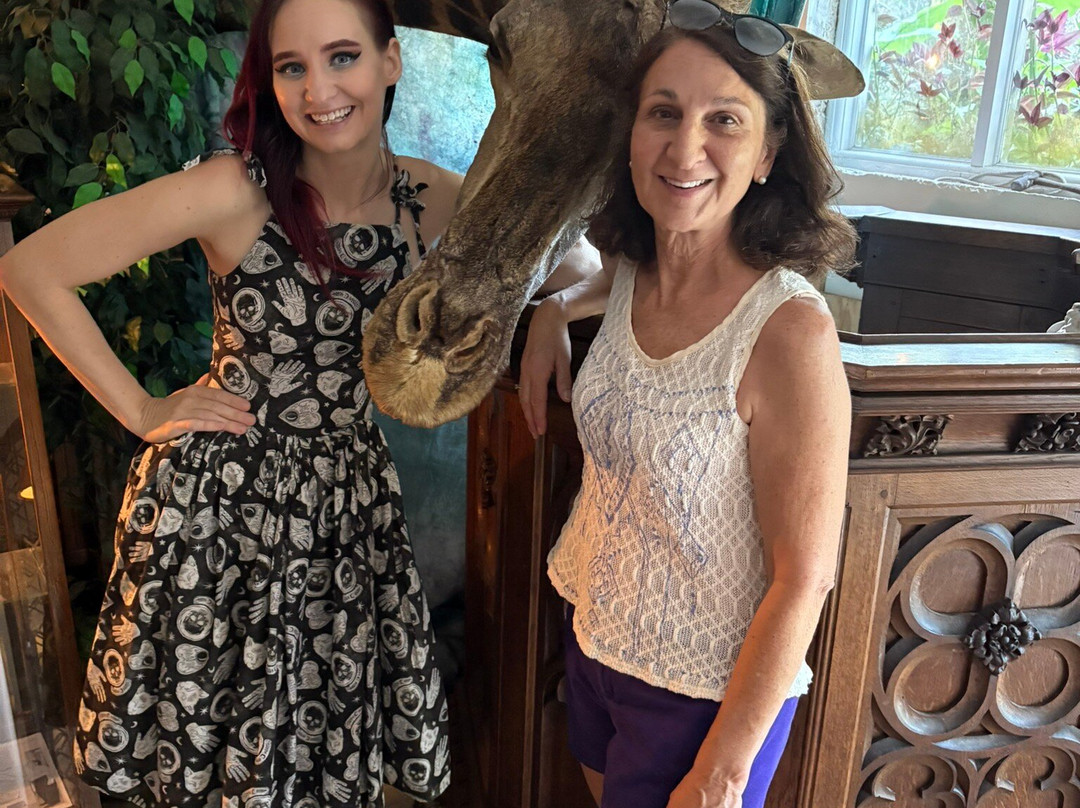 Wonder House-Bartow必去景点