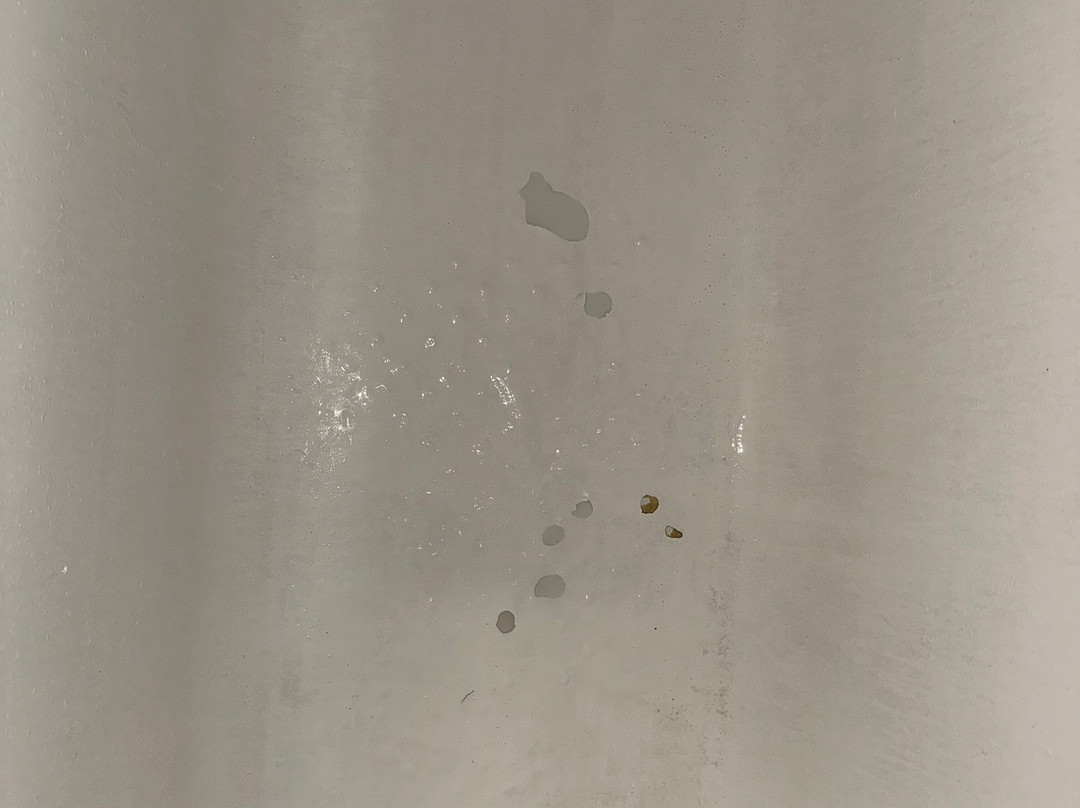 Olympia Palace Hotel主图