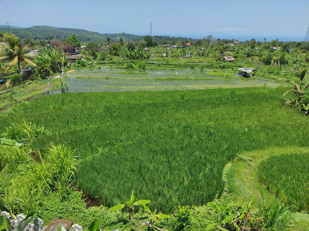 Bali Guia en Espanol-Mas必去景点