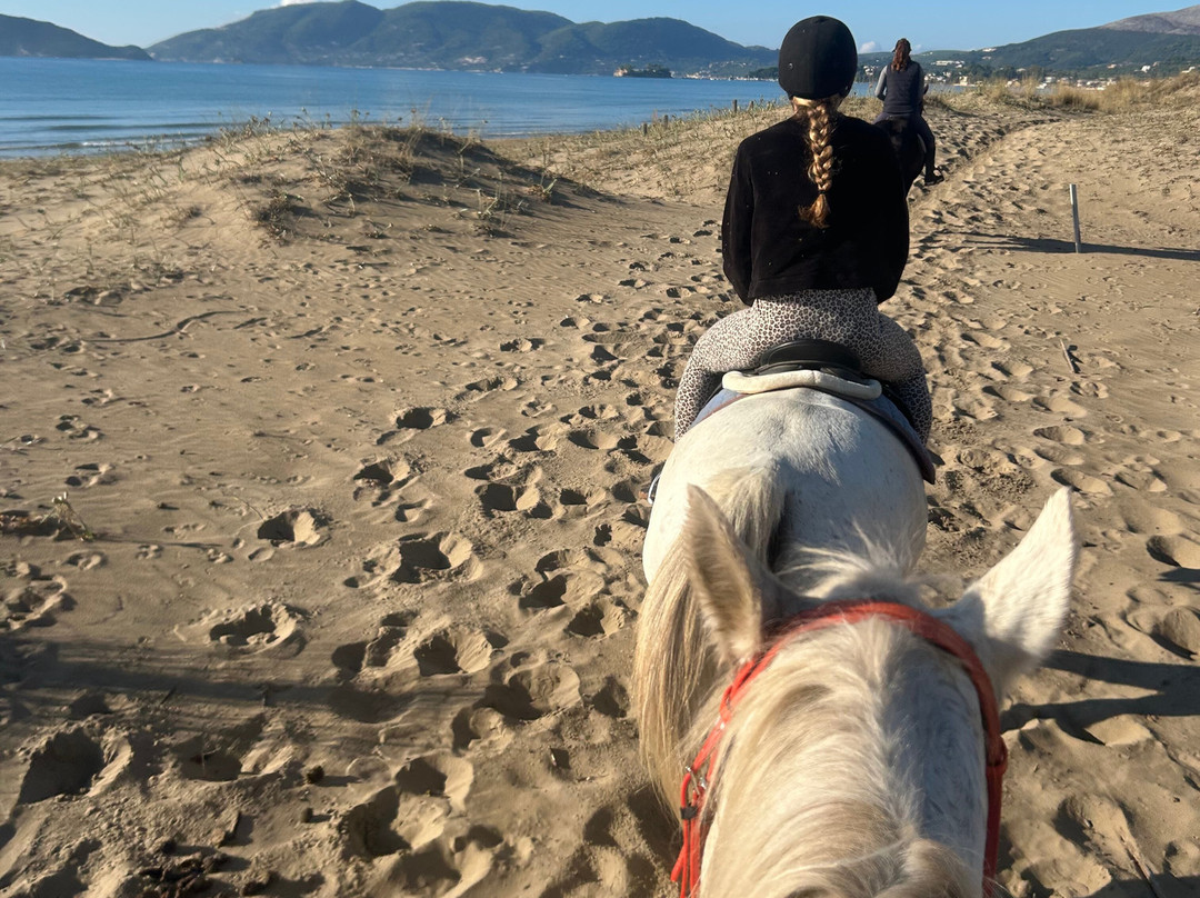 Laganas Horse Riding Center-扎金索斯必去景点