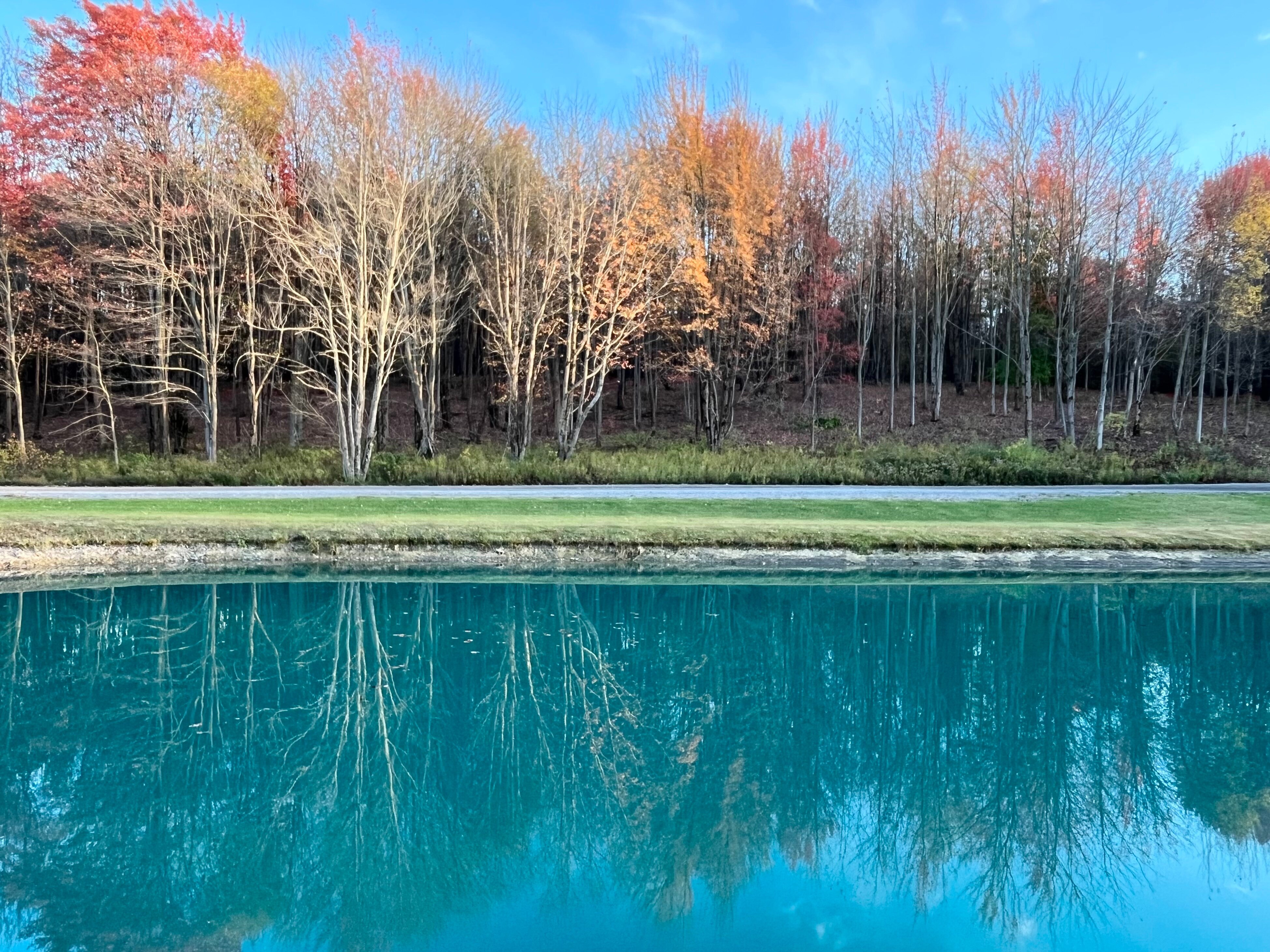 River Spring Lodge-官方