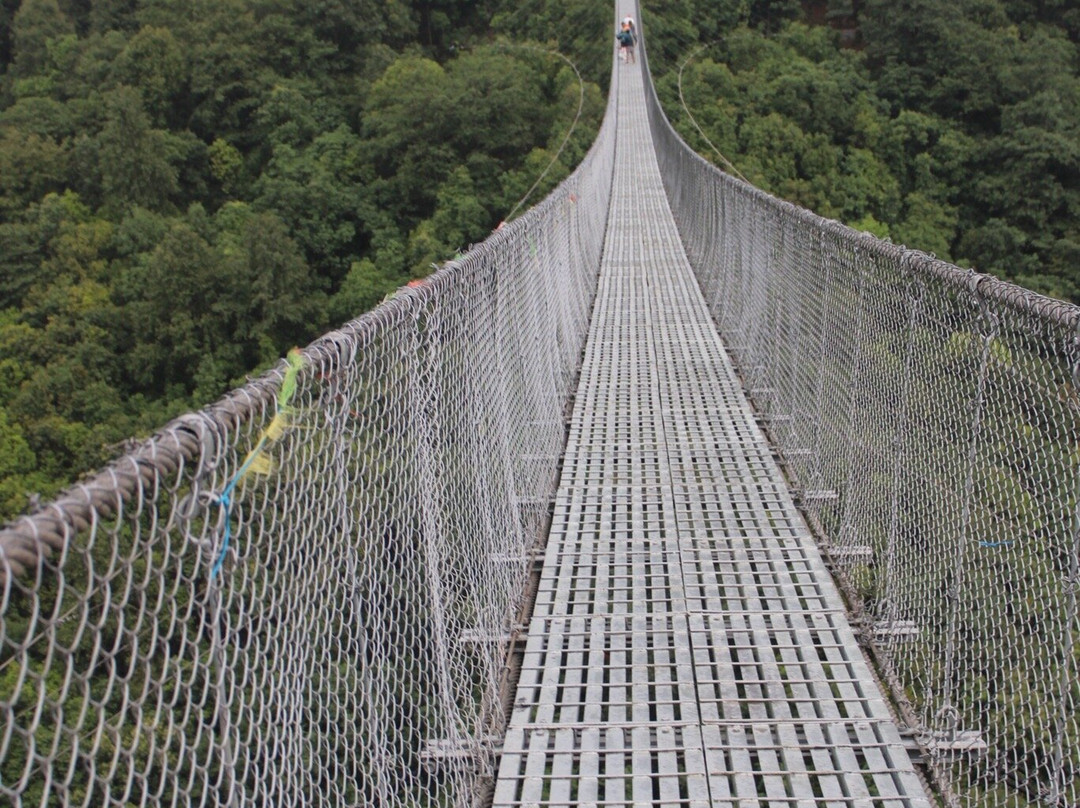 Rani Jhula-纳加阔特必去景点