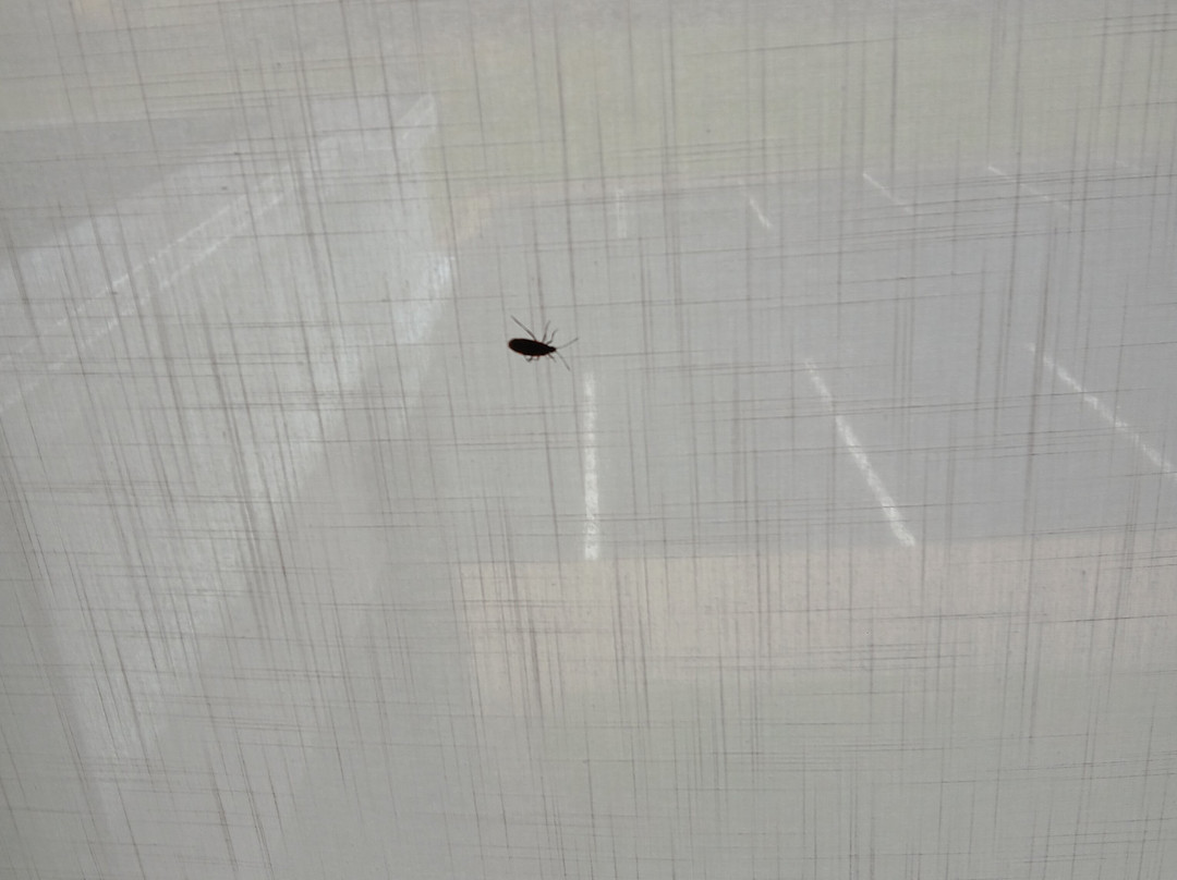 Comfort Inn & Suites Watervliet主图