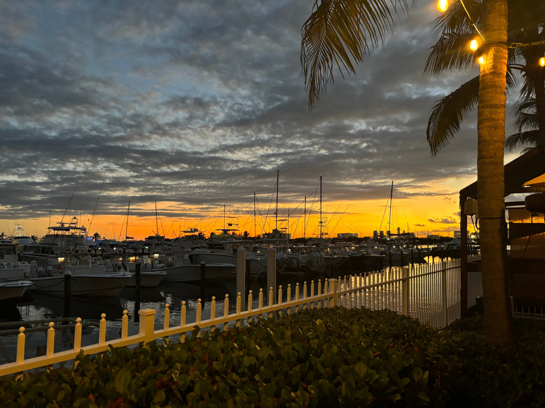 Yellowfin Bar & Kitchen