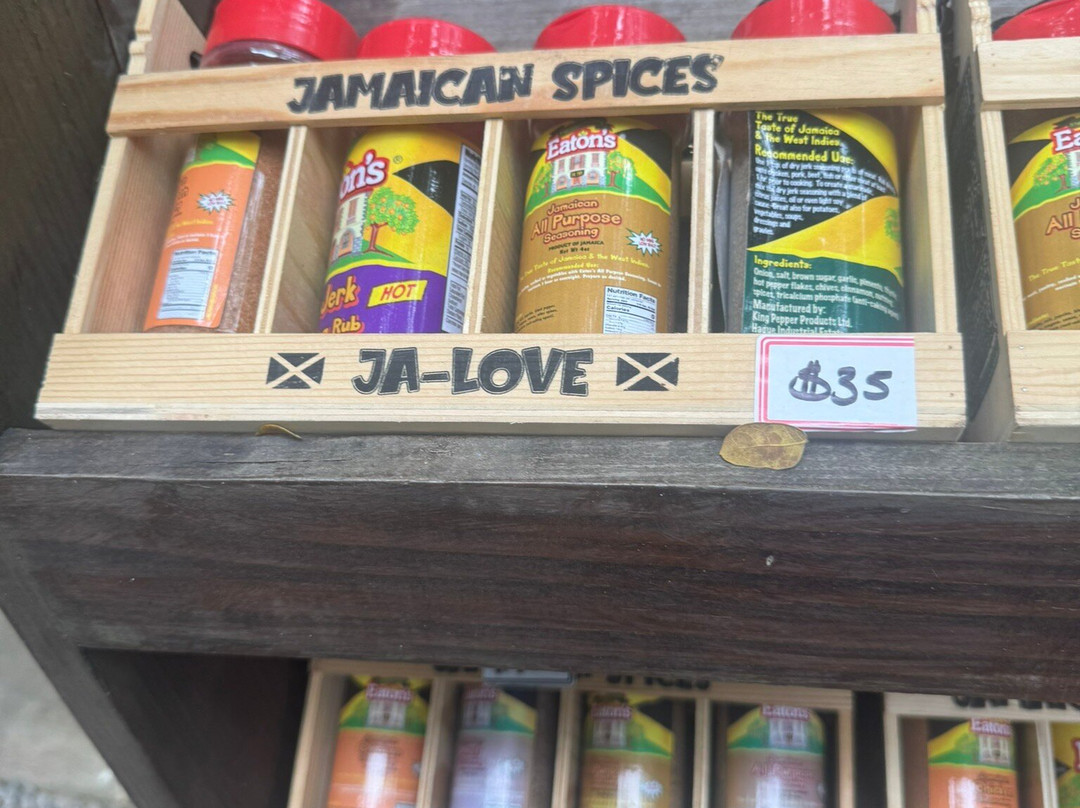 Reggae Hill-奥乔里奥斯必去景点