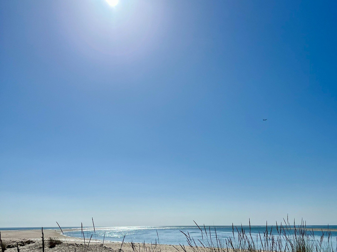 Armona Island-奥良必去景点