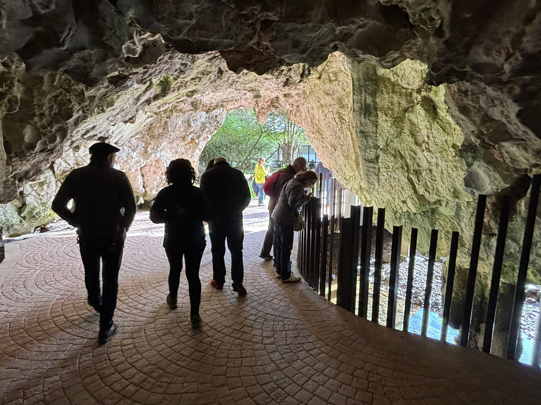 Cueva de Tito Bustillo-里瓦德塞利亚必去景点