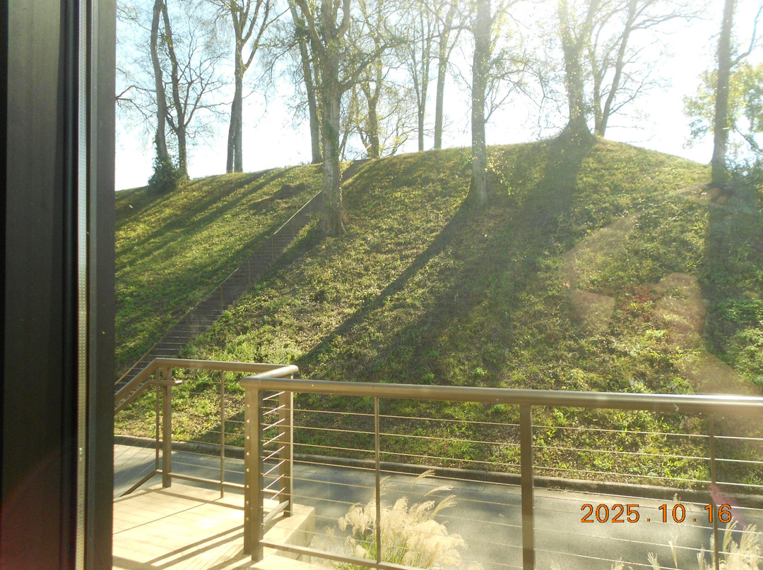 Indian Mound & Museum-弗洛伦斯必去景点