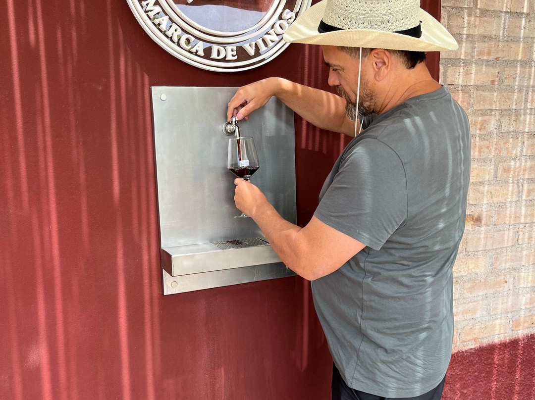 Bodega Hacienda del Plata-路冉得库约必去景点