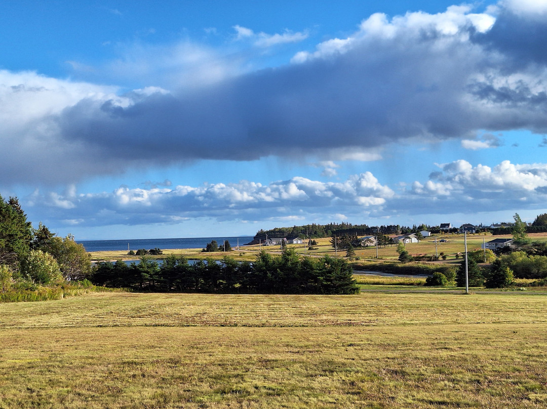 Lighthouse and Beach Motel主图