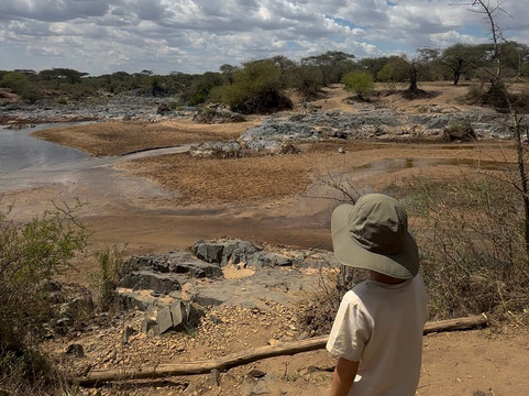 Kway tours and Safari's-桑给巴尔岛必去景点