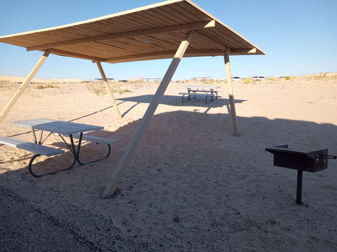 Monahans Sandhills State Park-Monahans必去景点