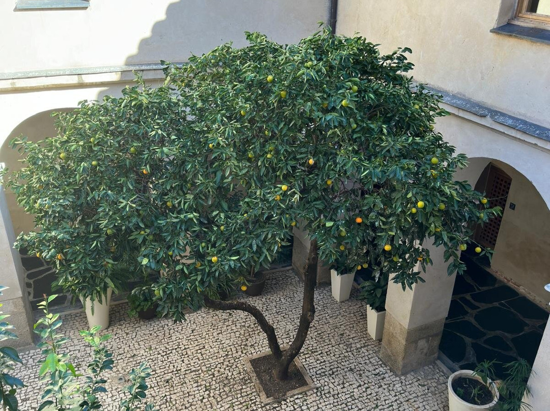 Hospedería Conventual De Alcántara主图