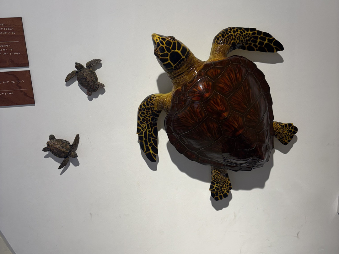 Chris Excursions-帕福斯必去景点