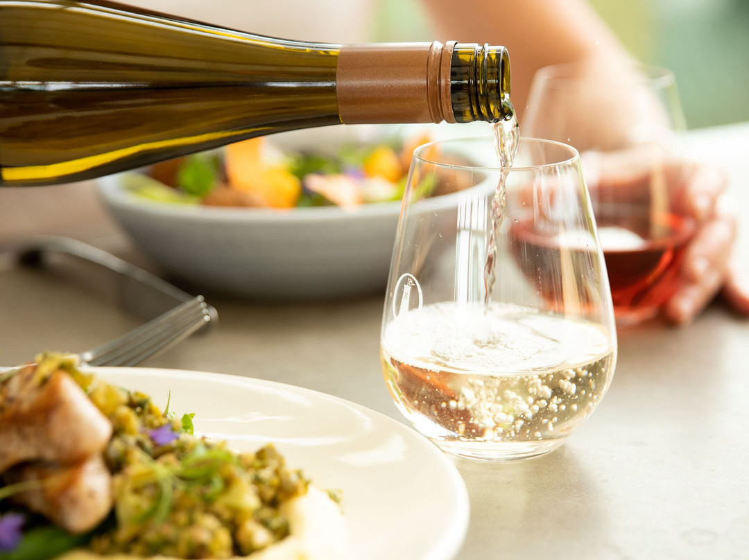 Matakana Tours-马塔卡纳小镇必去景点