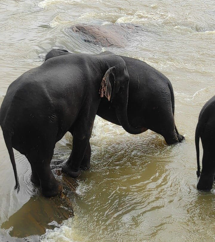 Lets See Asia Travels-Maharagama必去景点
