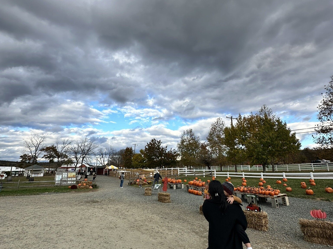 Ort Farms-Long Valley必去景点