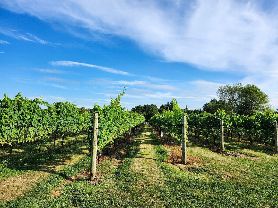 Jonathan Edwards Winery-北斯托宁顿必去景点