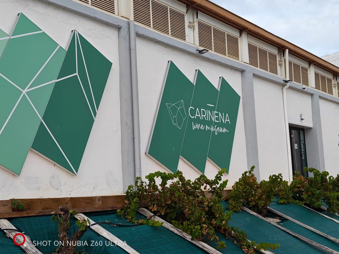 Cariñena Wine Museum