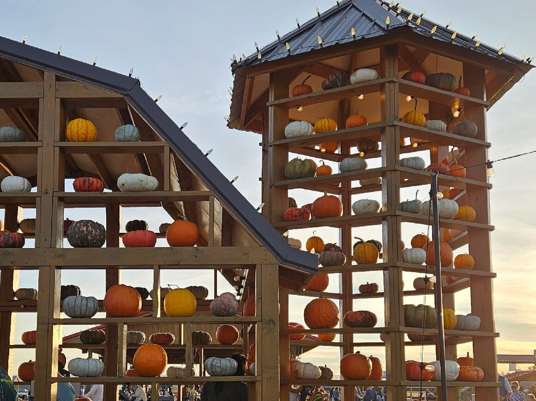 Sara's Farm Adventure-Trenton必去景点