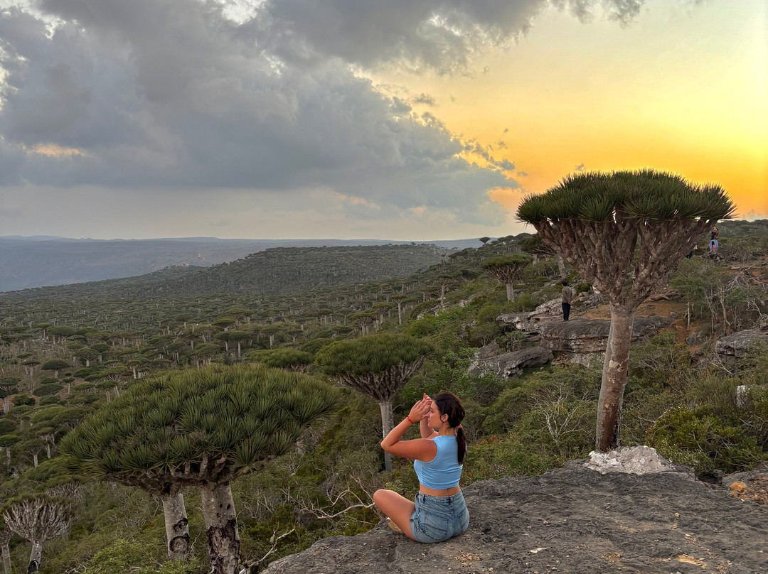 Socotra Safari Tours-Hadiboh必去景点
