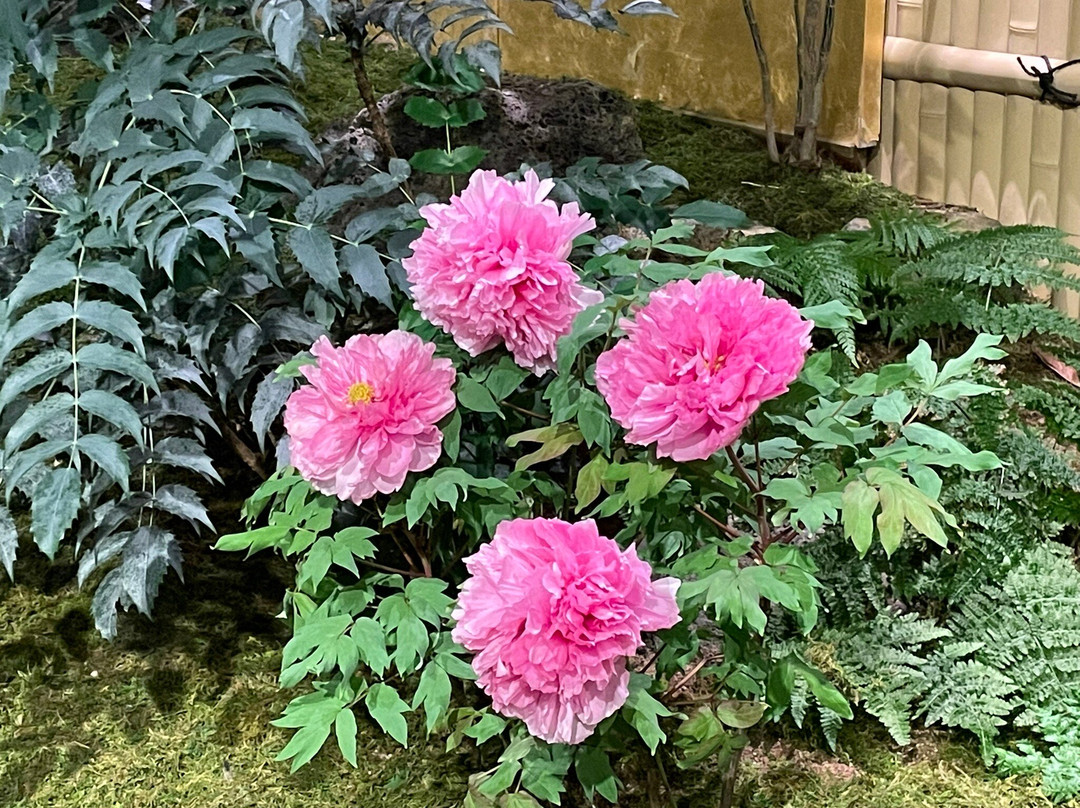 由志園-松江市必去景点