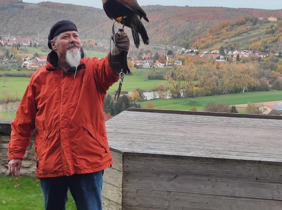 Deutsche Greifenwarte-Hassmersheim必去景点