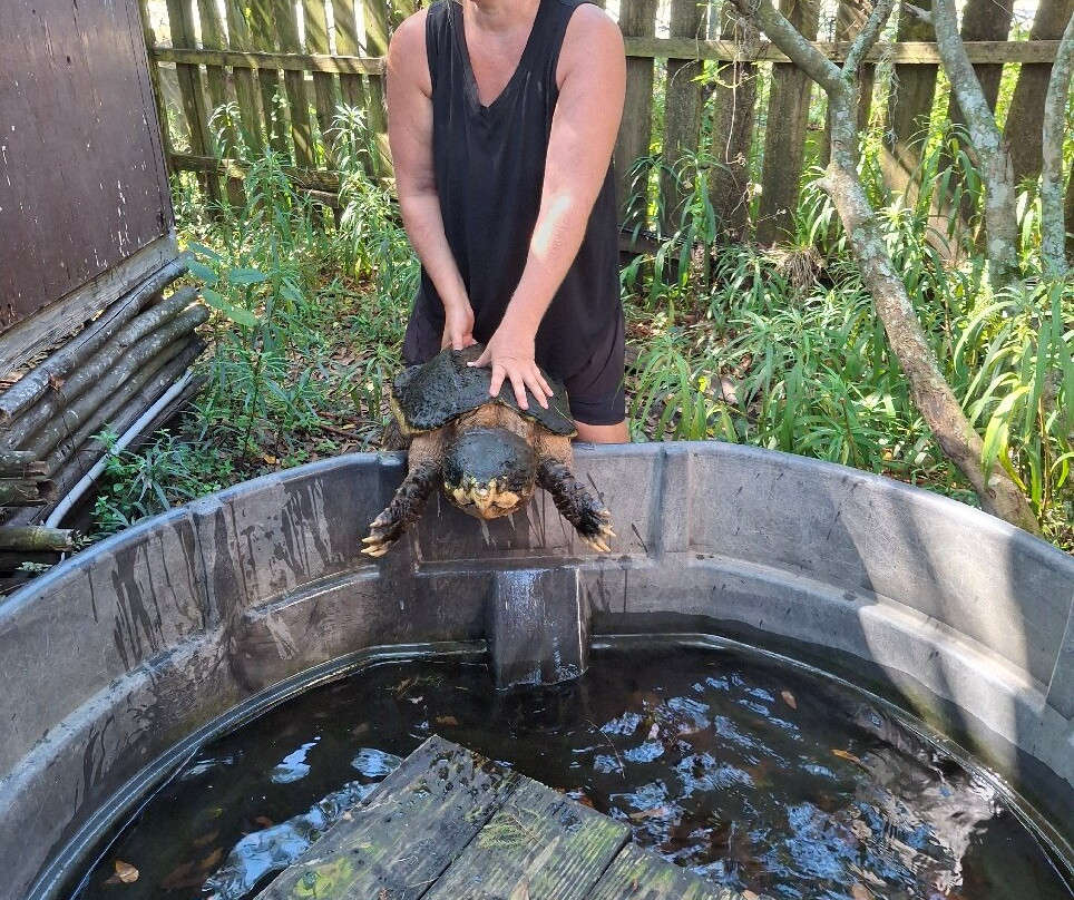 Croc Encounters-坦帕必去景点