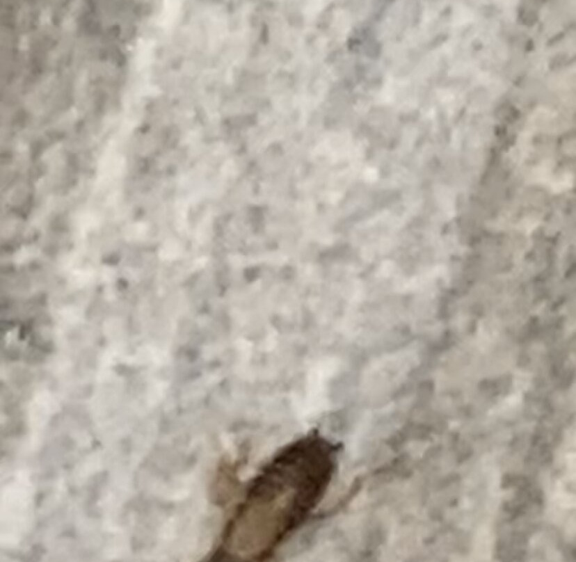 Wingate by Wyndham Indianapolis Airport-Rockville Rd主图