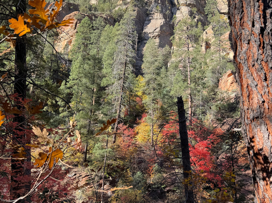 West Fork Oak Creek Trailhead-塞多纳必去景点