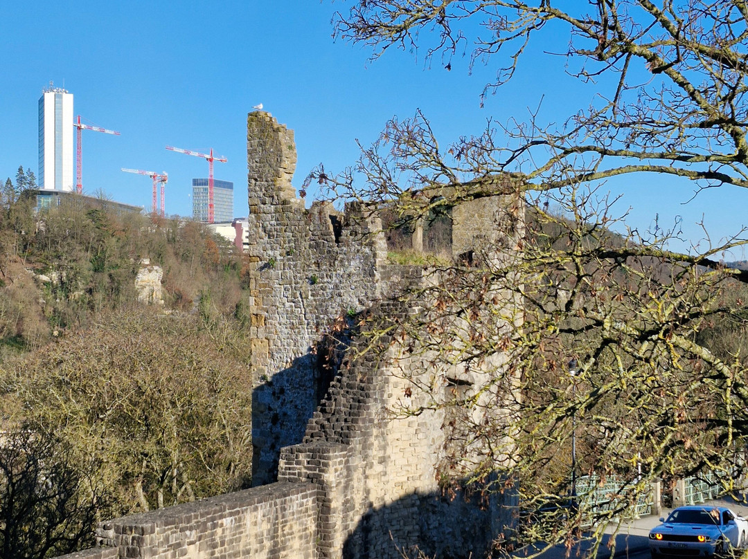 Hollow Tooth-卢森堡城必去景点