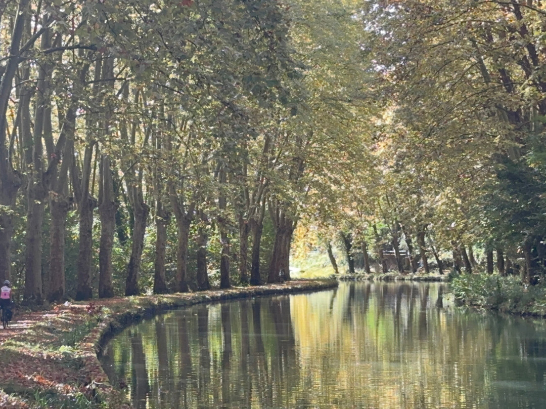 Freewheeling Adventures-Hubbards必去景点