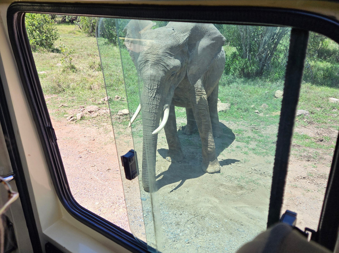 African Horizons-内罗毕必去景点