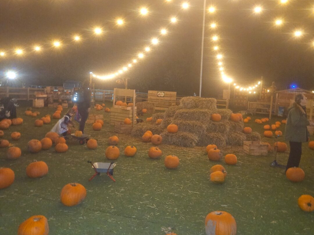 Quex Adventure Farm Park-Birchington必去景点