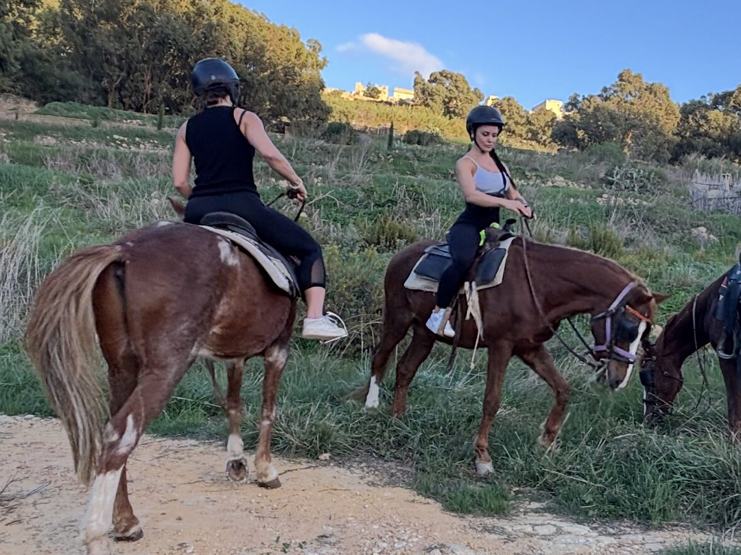 Lino's Stables-Xaghra必去景点
