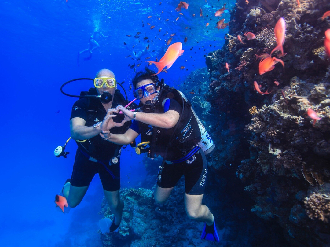 Blue Sea Dive Club-沙姆沙伊赫必去景点