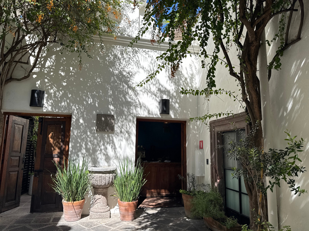 Casa de Los Olivos主图