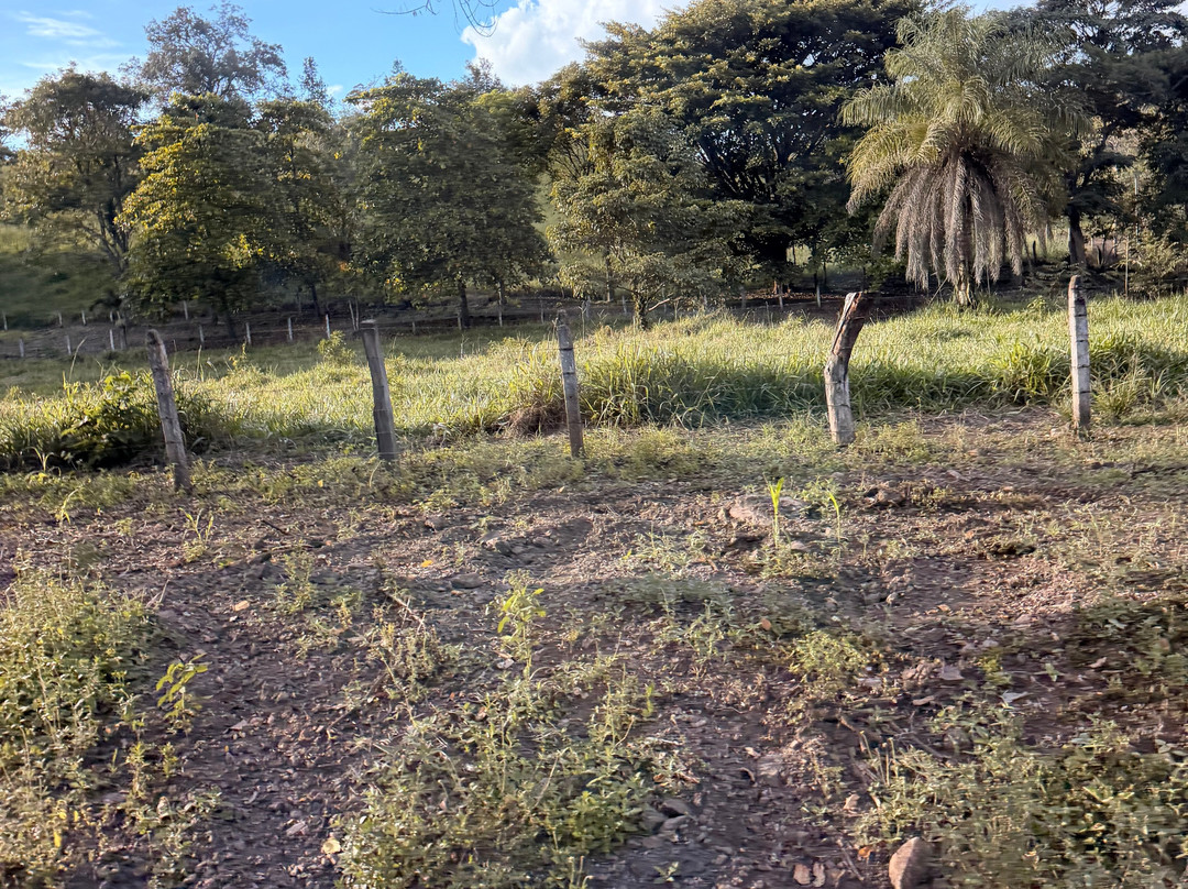 NexusTours-圣何塞必去景点