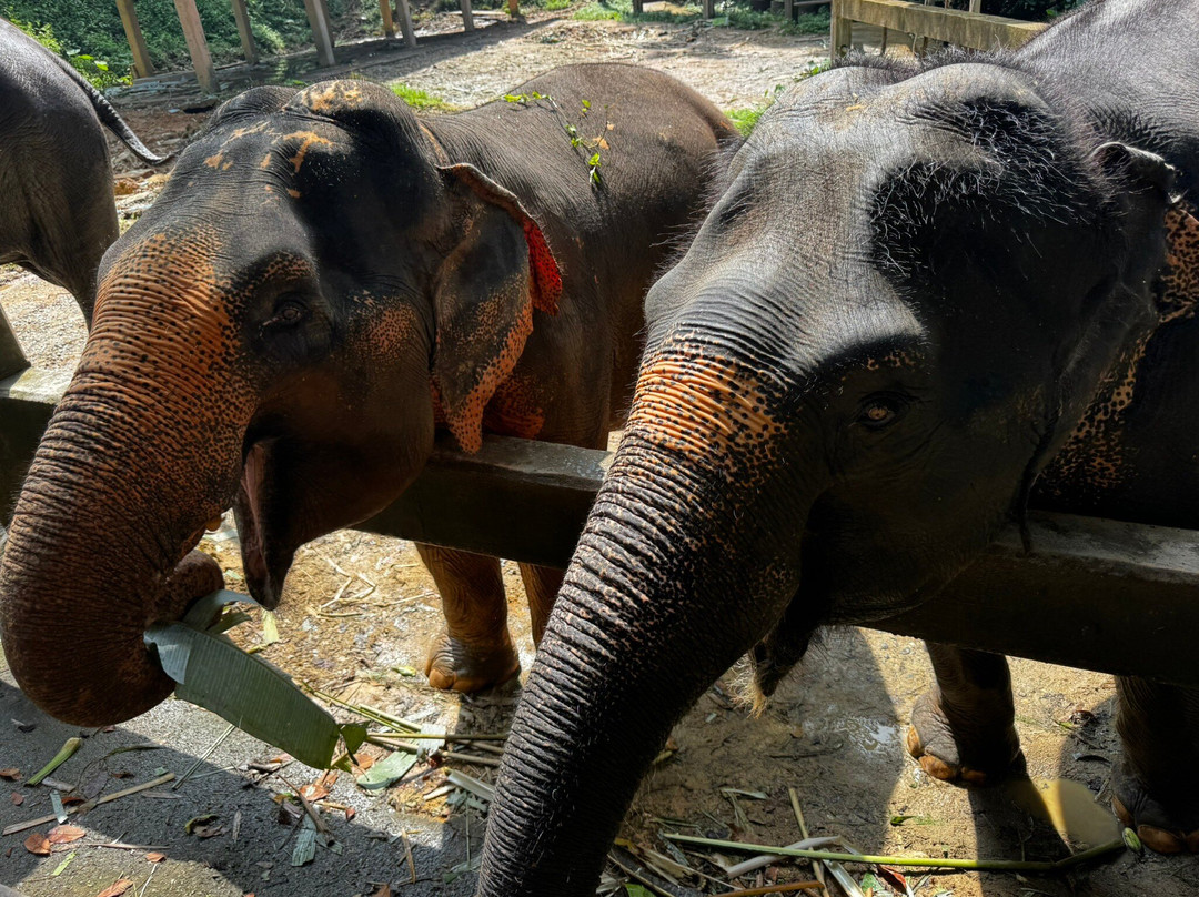 Eco Khao Lak Adventure - Private Day Tours-拉克山必去景点