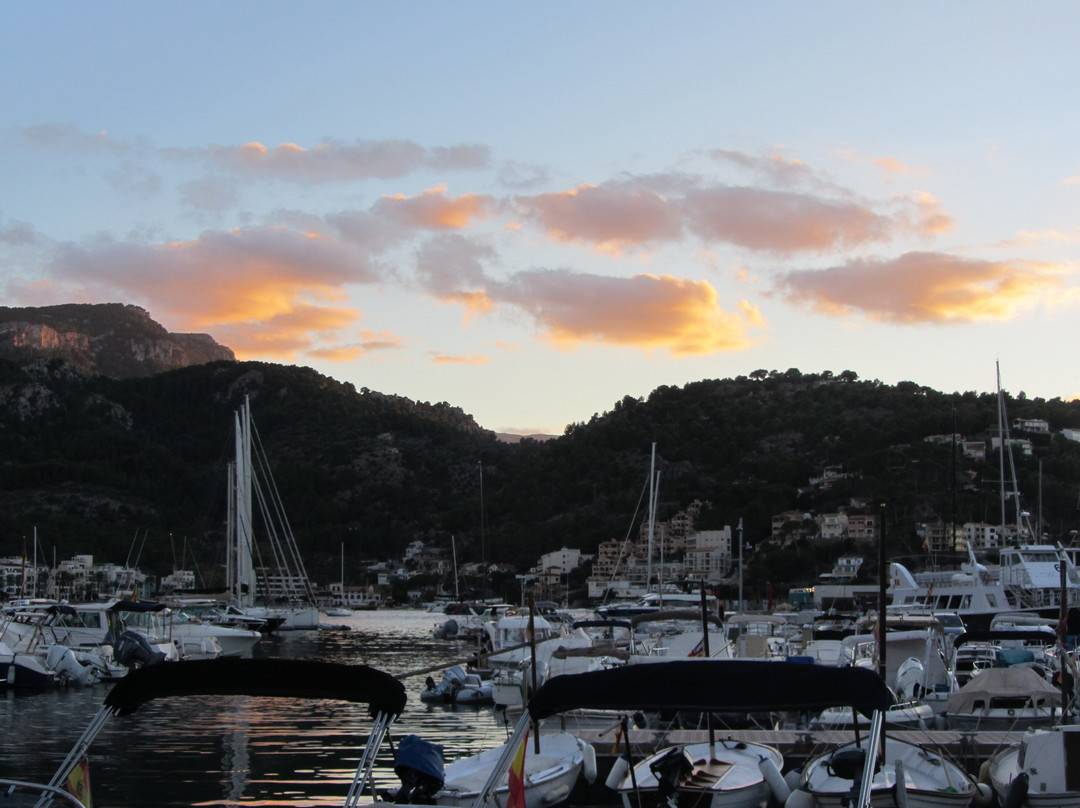 Marina Tramontana-索列尔港必去景点