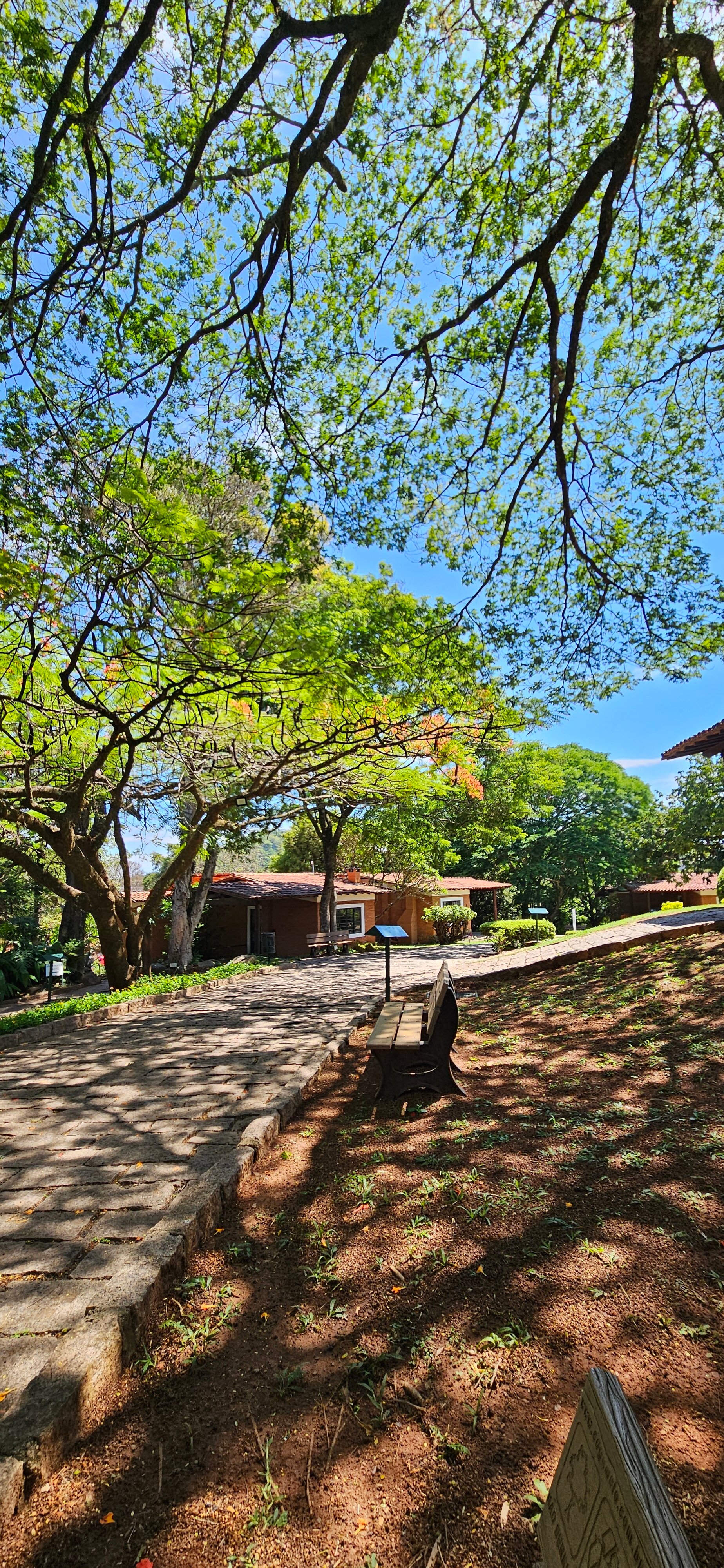 Grinberg's Village Hotel-官方