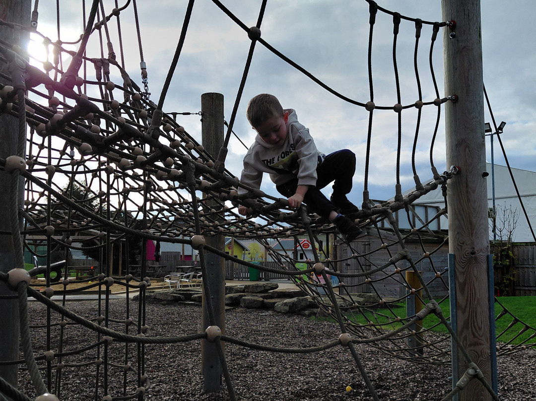 The Web Adventure Park-Wigginton必去景点