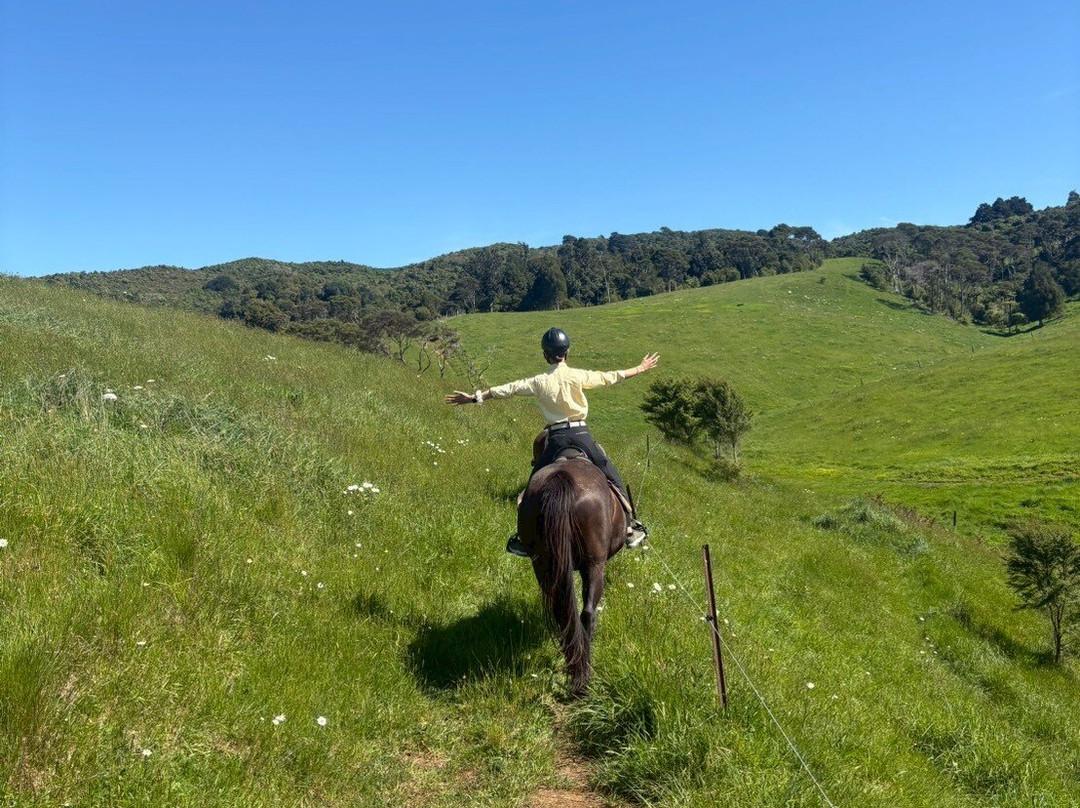 Surf & Turf Horse Riding Raglan-拉格伦必去景点