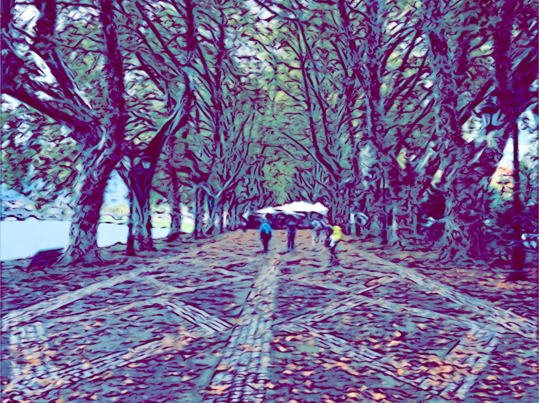 Mountain Travel Sobek-埃默里维尔必去景点