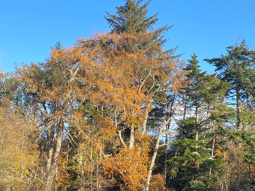 Big Burn Walk-Golspie必去景点