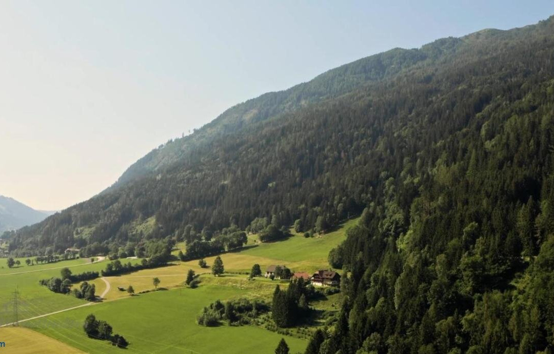 Thurnerhof Gasthof主图