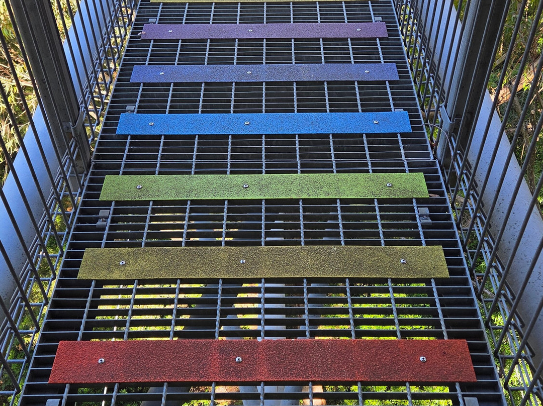 Illawarra Fly Treetop Walk-Knights Hill必去景点