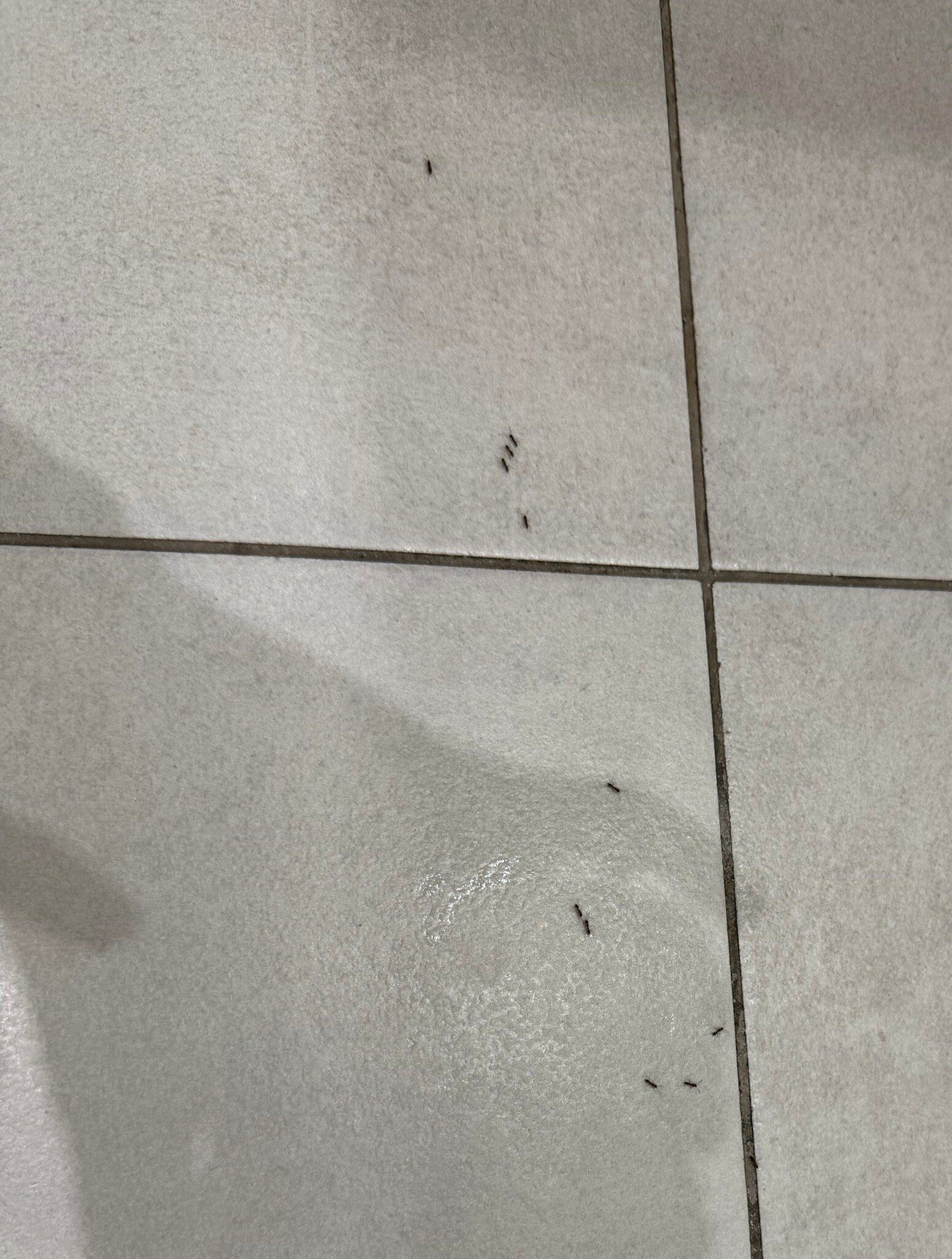 Quinta de la Rosa-官方