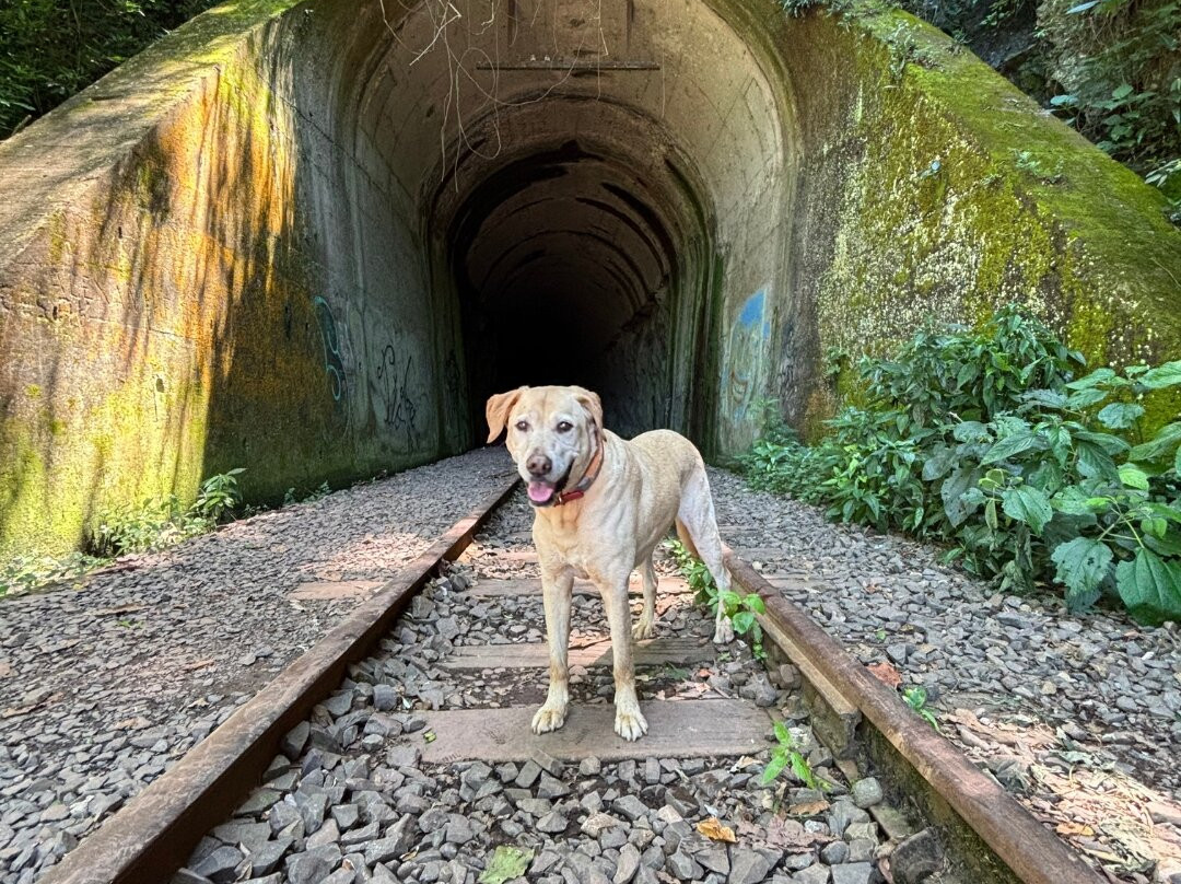 Túnel das Janelas-Vespasiano Correa必去景点