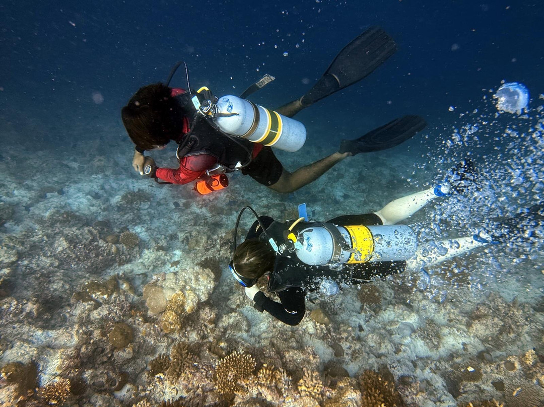 Fulidhoo Dive & Water Sports-Fulidhoo必去景点
